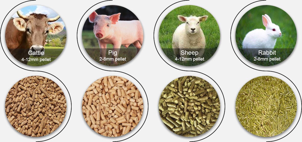 livestock feed pellet