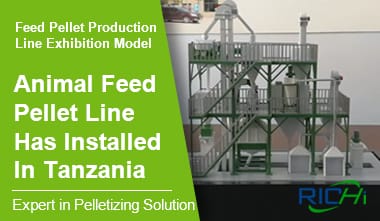 Animal Feed Pellet Production Line in Tanzania, Complete Feed Pellet Production Line Exhibition Mode