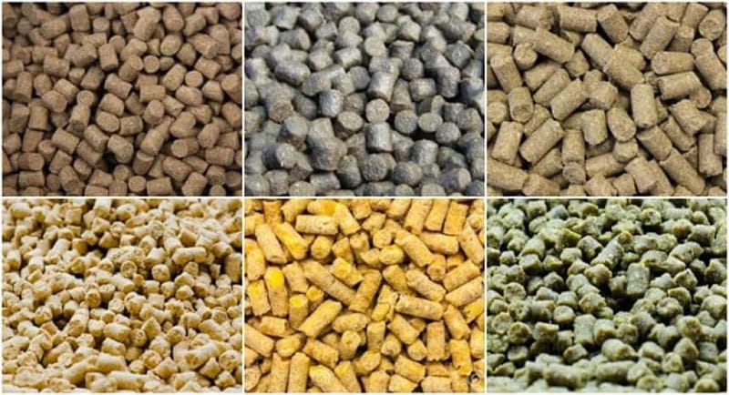 How To Select Feed Ingredients 1 20TPH CE Chicken Poultry Feed Pellet 