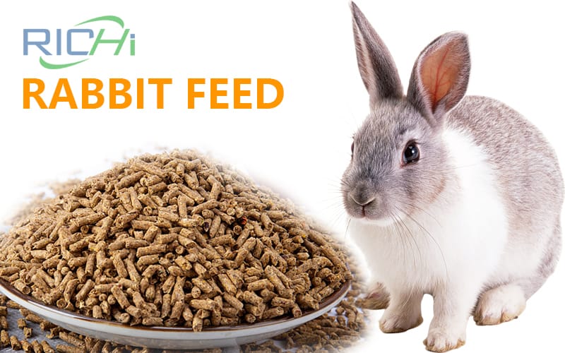Do you know why all rabbits are fed pellets nowadays? (Rabbit feed pellet making machine price)