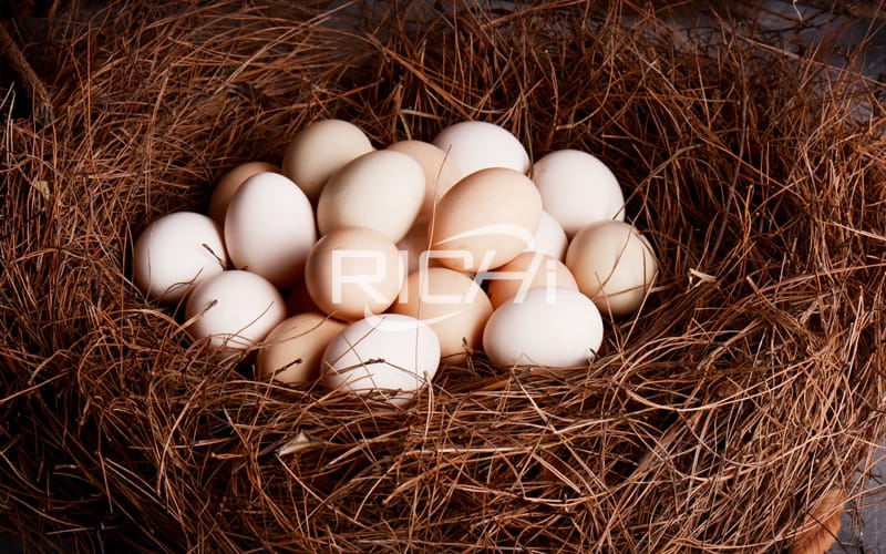The influence of layer chicken feed making raw materials on egg quality