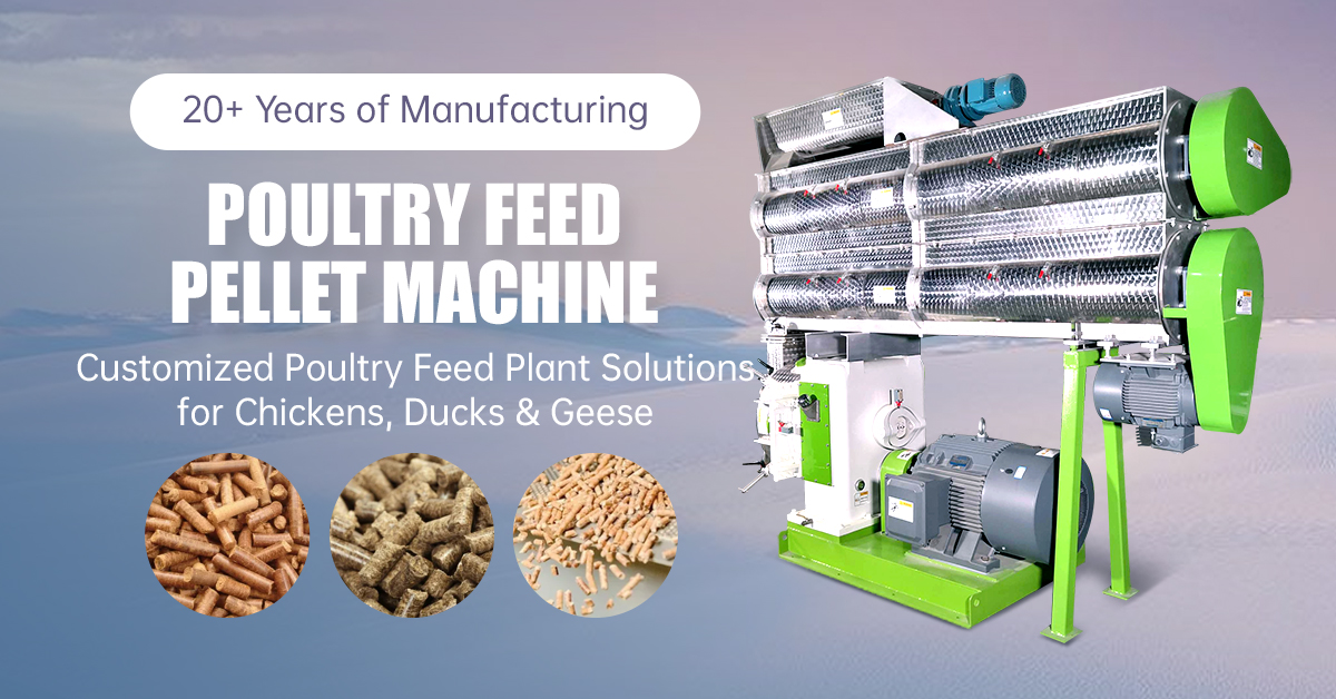 poultry feed pellet machine