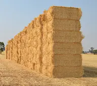 straw materials