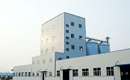 10T/H chicken feed production line and 5T/H premix feed production line