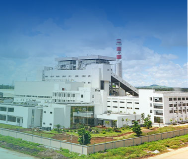 biomass pellet mill plant