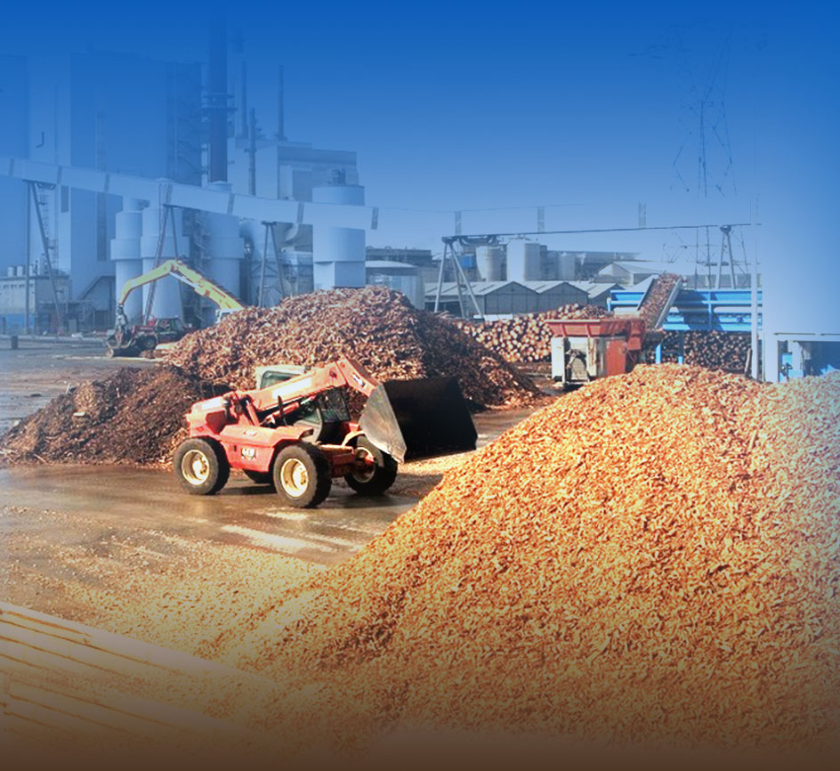 pelletizing project in south africa