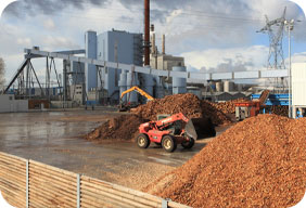 Biomass production line