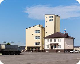 ruminant feed production line