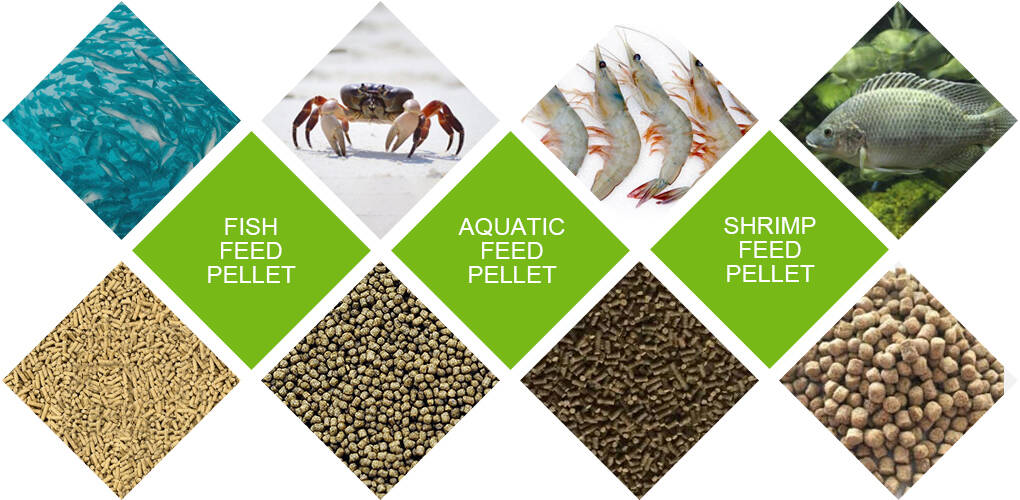 Application of Sinking Fish Feed Pellet Machine